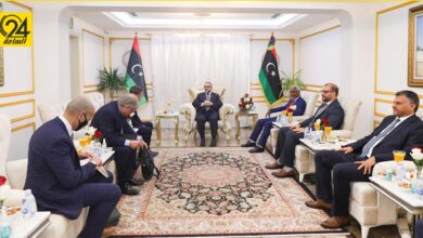 مستشار "الخارجية الأمريكية": أكدت على "المشري" أهمية إجراء الانتخابات بموعدها