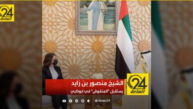 الشيخ منصور بن زايد يستقبل "المنقوش" في أبوظبي