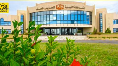 بخط مصنع درفلة الأسياخ،.. «الحديد والصلب» تحقق رقمًا قياسيا لأول مرة منذ 10 سنوات