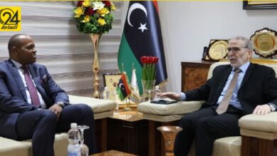 وزارة الخارجية تبحث مع «صنع الله» التعاون الدولي في المجال النفطي مع «الأوبك»