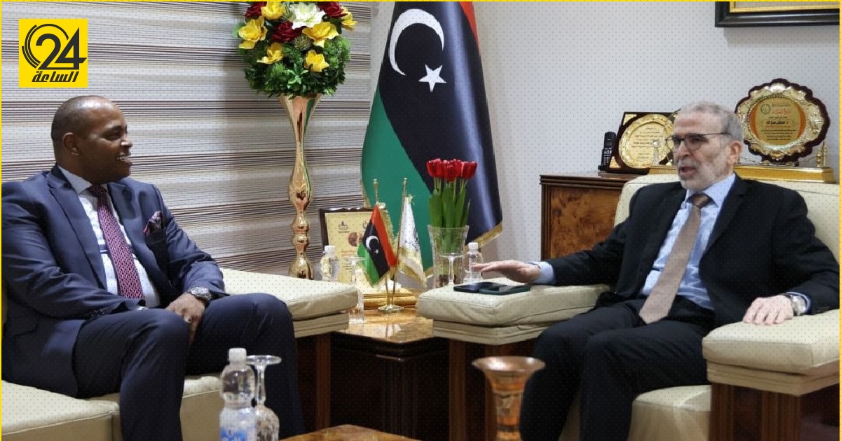 وزارة الخارجية تبحث مع «صنع الله» التعاون الدولي في المجال النفطي مع «الأوبك»