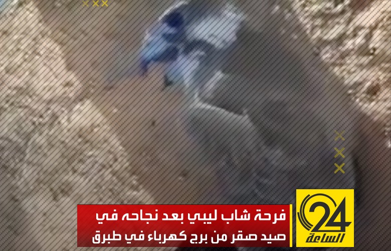 تمكن شخص من اصطياد صقر من أعلى برج كهرباء في مدينة طبرق