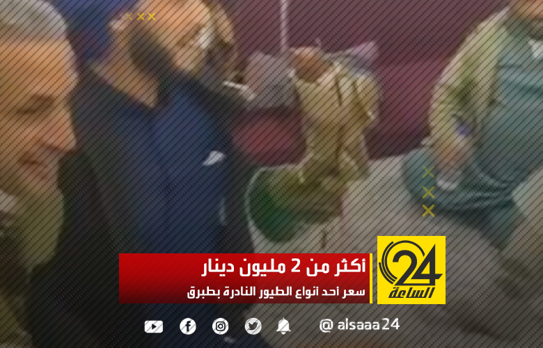 أكثر من 2 مليون دينار سعر أحد أنواع الطيور النادرة بطبرق