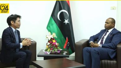 وكيل وزارة الخارجية: نحتاج إلى الاستفادة من خبرات اليابان