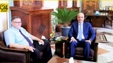 سفراء مصر وأوروبا لـ«الكبير والحبري»: توحيد «المركزي» مهم للعملية السياسية في ليبيا