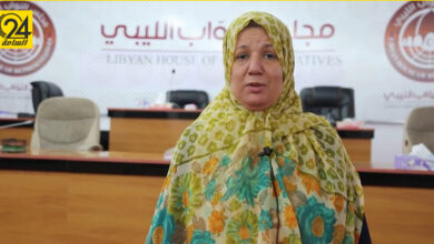 الخوجة: إعادة هيكلة قانون القضاء هدفه سياسي قبل إجراء الانتخابات