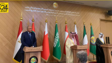 «شكري»: اجتماع التشاور بين مصر و«التعاون الخليجي» تمسك بضرورة إجراء الانتخابات الليبية