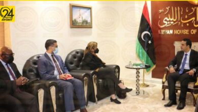 النويري يطلع «ستيفاني» على أعمال لجنة خارطة الطريق المشكّلة من قبل البرلمان