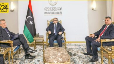 المشري لـ«السفير الإيطالي»: لابد من إصدار قوانين توافقية لضمان نزاهة الانتخابات