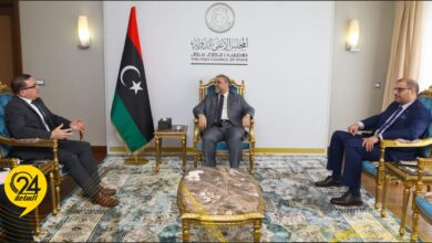 المشري لـ«السفير المالطي»: نعمل على دعم مبادرة ستيفاني لإجراء انتخابات تلبي تطلعات الليبيين