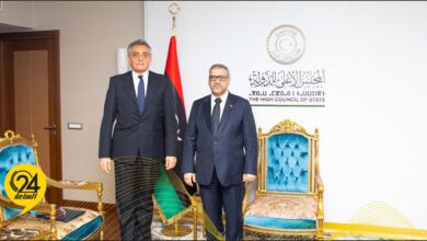 المشري لـ«السفير الإيطالي»: نريد الوصول لانتخابات نزيهة تحقق الاستقرار