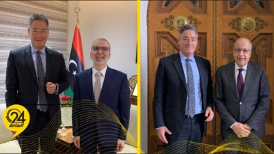 السفير الألماني