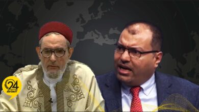 محمود عبد العزيز