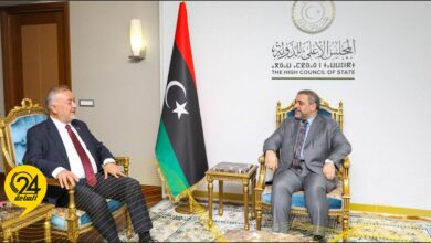 المشري لـ«السفير التركي»: رؤيتنا تجدد الشرعية وتنهي المراحل الانتقالية في ليبيا