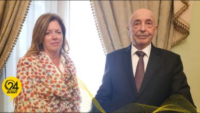 عقيله صالح يلتقي ستيفاني في القاهرة