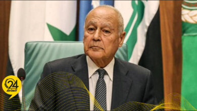 أبو الغيط