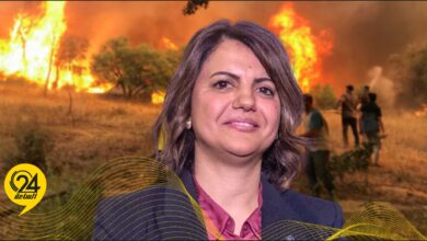 «المنقوش»: نتضامن مع الجزائر وتونس لتأثرهما بالحرائق