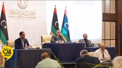 مجلس الدولة
