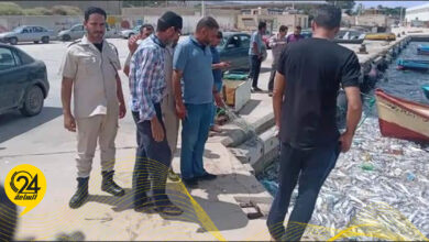 منظمة الأحياء البرية: نفوق الأسماك بميناء درنة ناجم عن التلوث