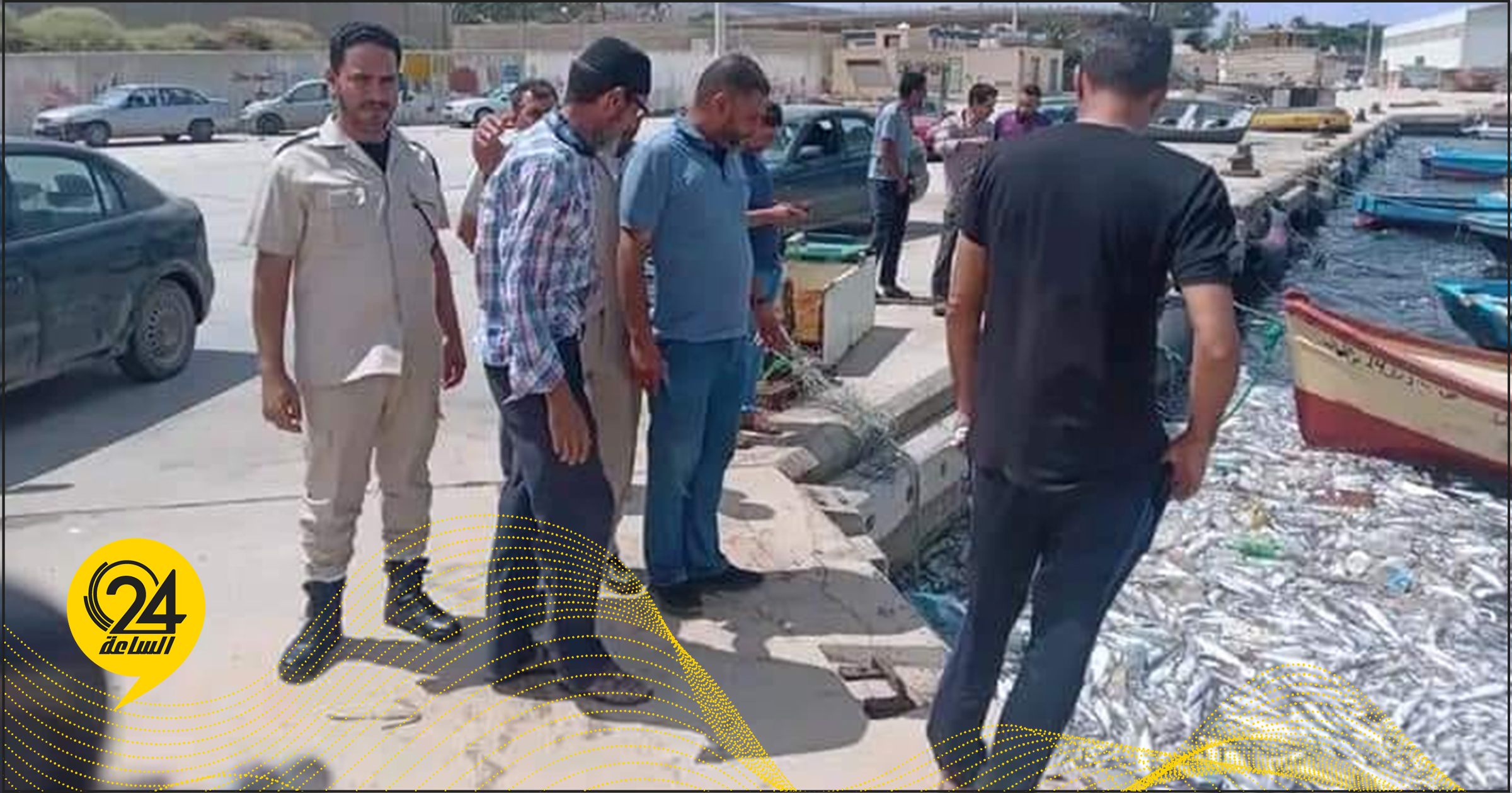 منظمة الأحياء البرية: نفوق الأسماك بميناء درنة ناجم عن التلوث