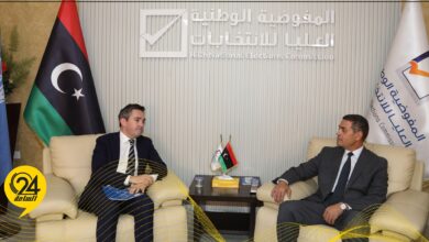 السايح يبحث مع "برنامج الأمم المتحدة الإنمائي" دعم المسار الديمقراطي