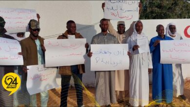 بلدية ربيانة: وفاة 9 أطفال جراء لدغات العقارب.. رغم توفر كمية من الأمصال