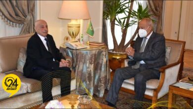 خلال استقباله "عقيلة صالح".. أبو الغيط: لا بد من إنهاء كافة المظاهر التي تهدد وحدة ليبيا