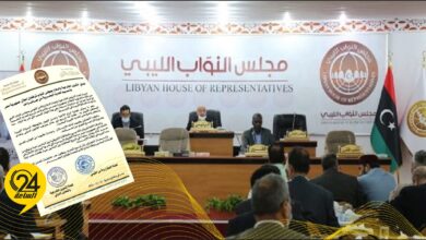 «لجنتا الخارجية والدفاع» بالنواب: نطالب مصر بالتراجع عن إعلان ترسيم الحدود البحرية