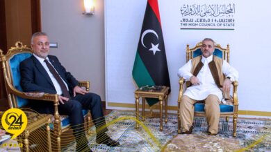 المشري ينافش مع سفير تركيا العملية السياسية في ليبيا