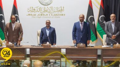 مجلس الدولة