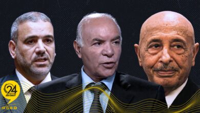المنصوري: النواب والدولة لا يريدان إجراء الانتخابات