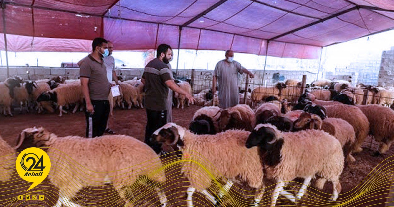 الصحة الحيوانية