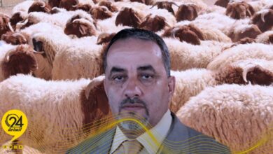 أضاحي