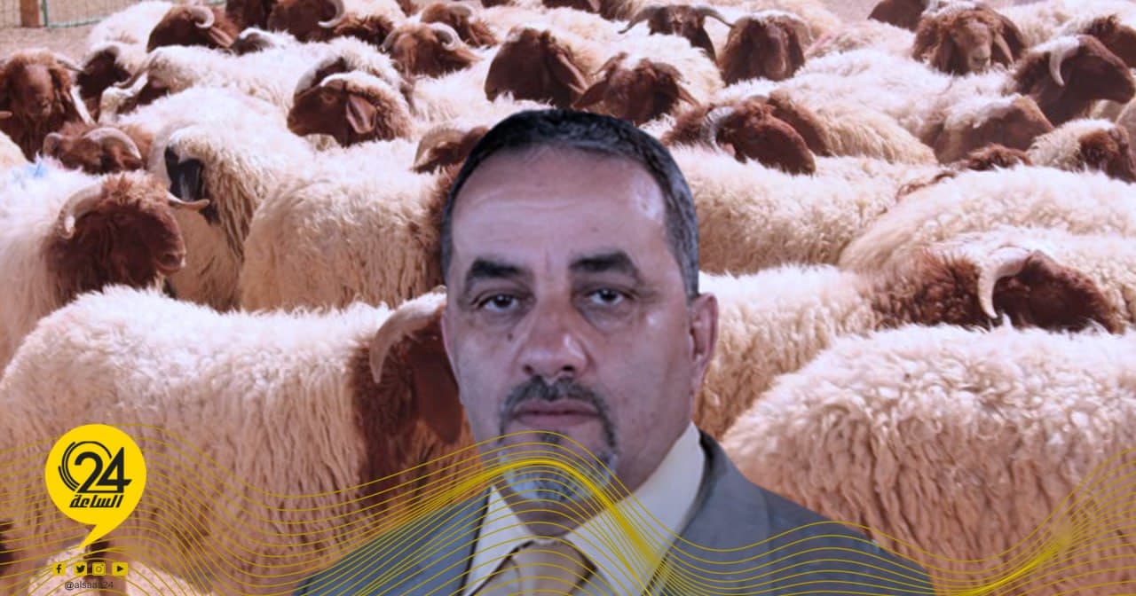 أضاحي
