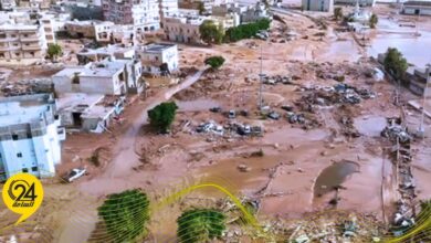 الخارجية