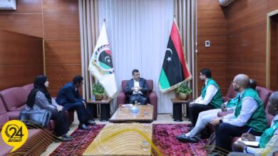 أبوجناح: ملتزمون بالتعاون مع الدول الأفريقية لمواجهة التحديات الناجمة عن الأوبئة