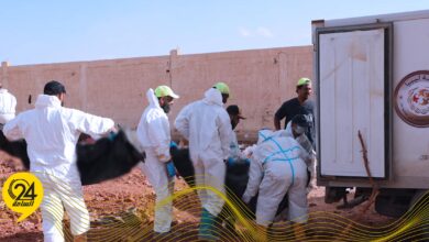 التعرف على المفقودين