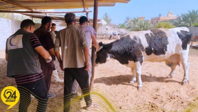 القلاعية