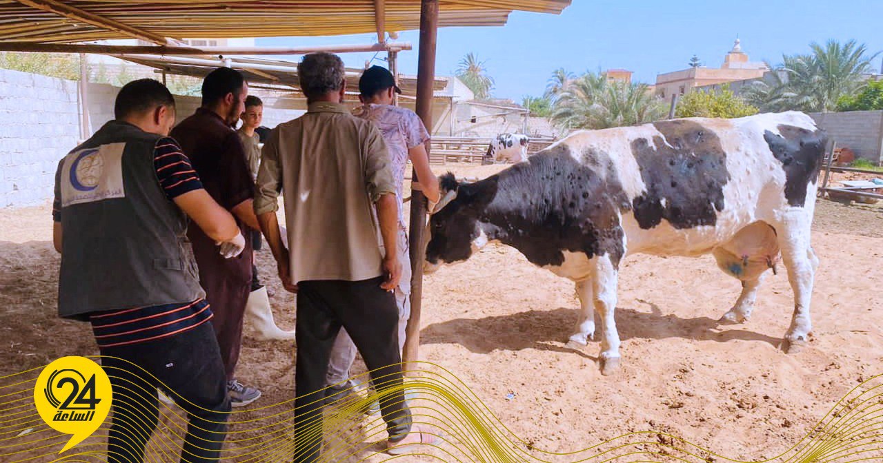 القلاعية