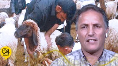 الجديد