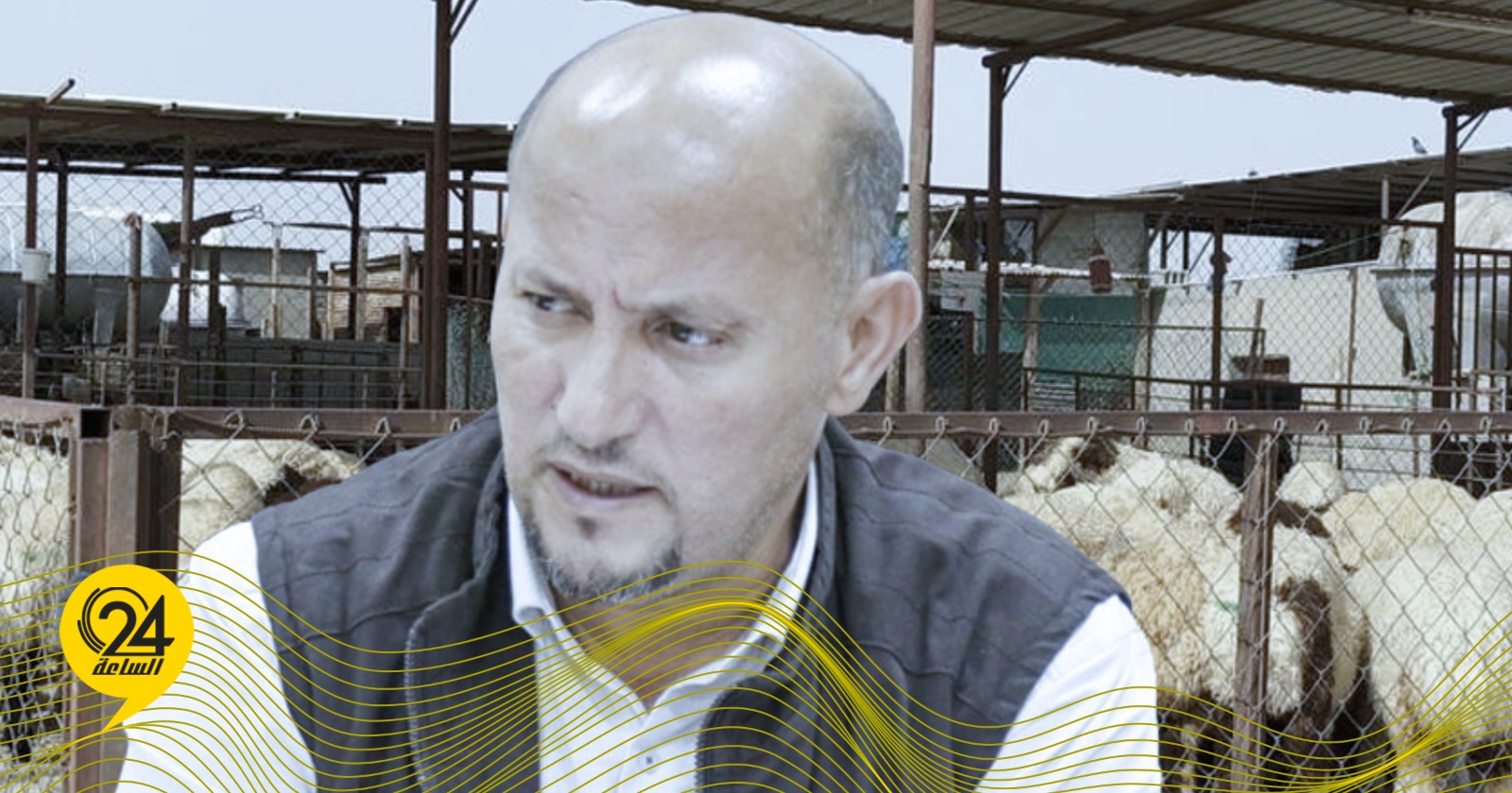 ليبيا – “إسحاق”: ارتفاع أسعار الأعلاف يهدد الثروة الحيوانية في البلاد