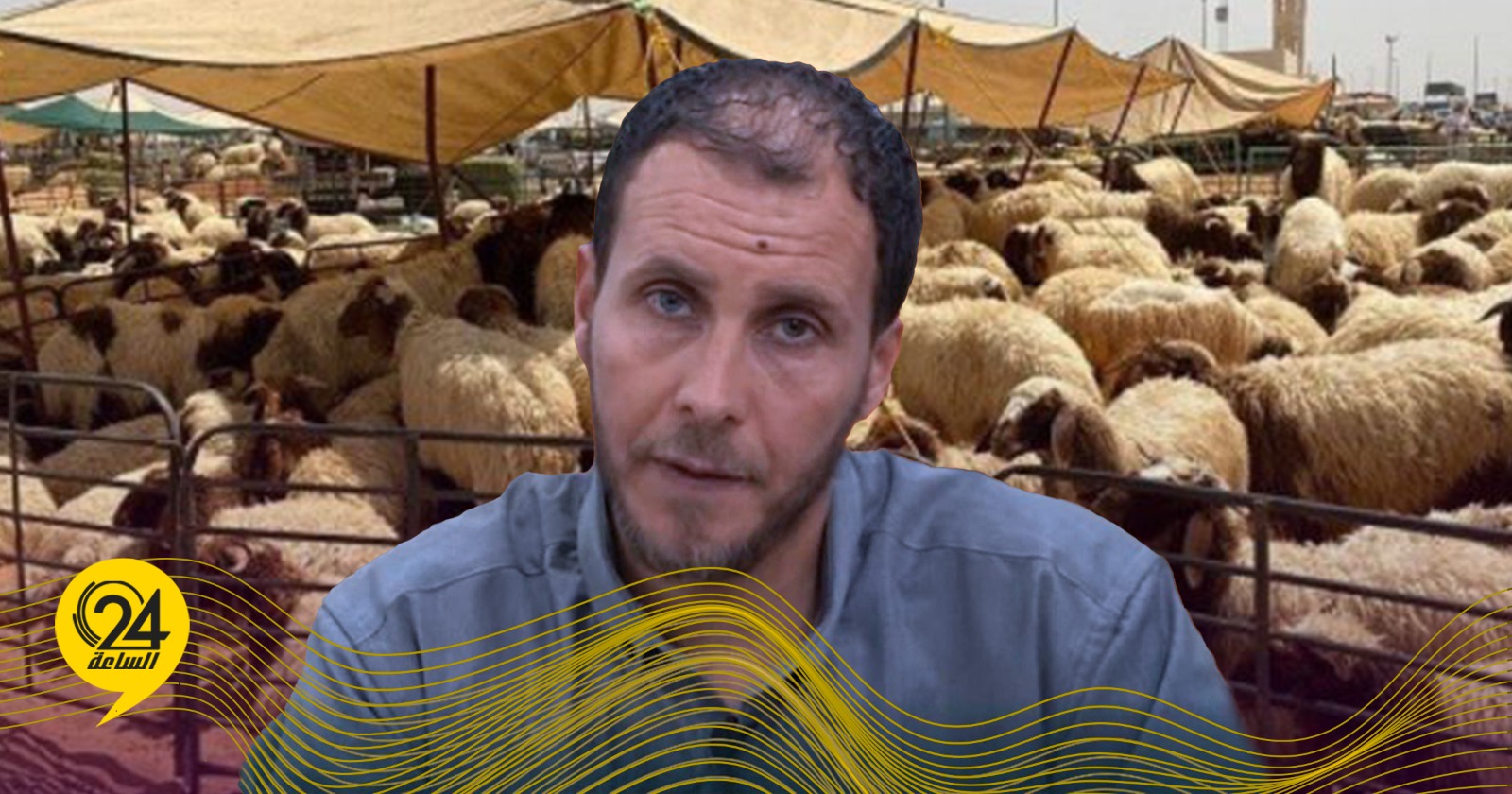 ليبيا – بومبركة: أسعار اللحوم في ارتفاع بسبب قلة الإنتاج