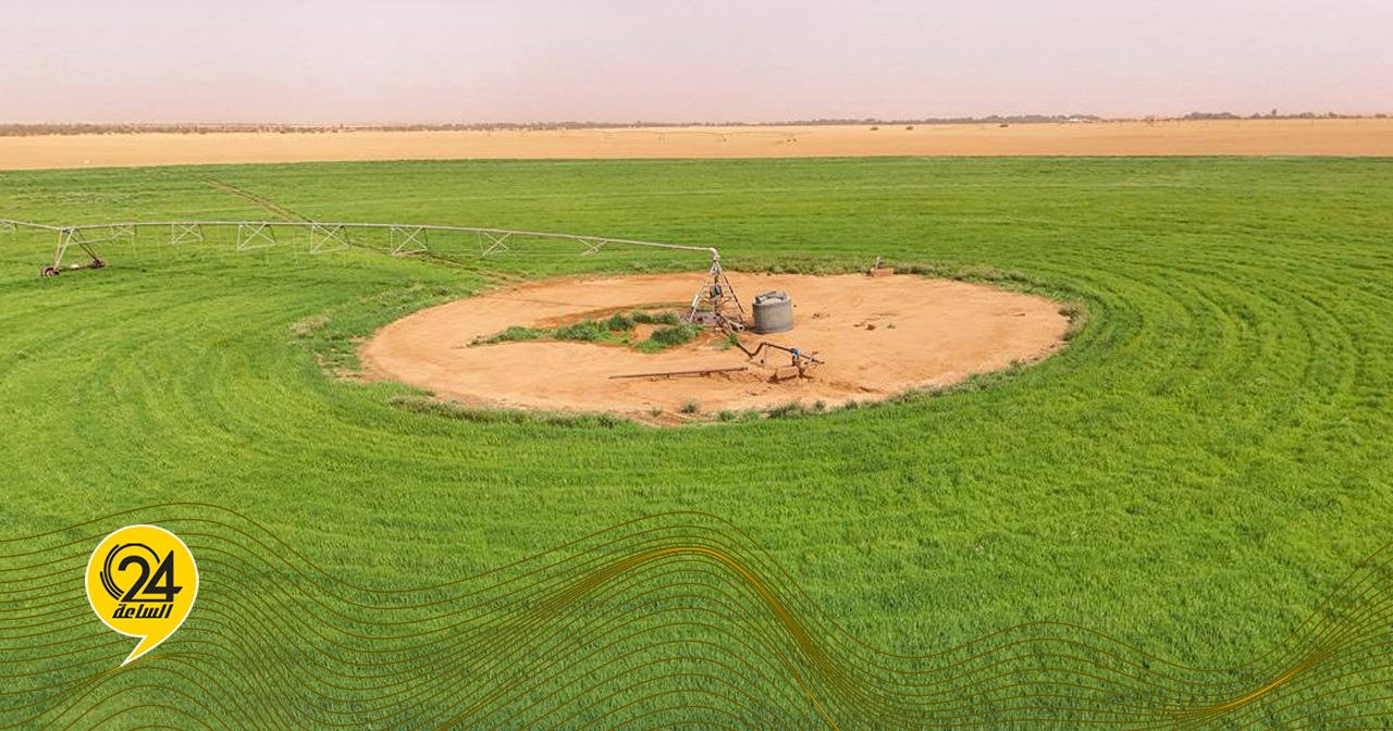 ليبيا – بنك التنمية الوطني يواصل تنفيذ مشروع الويغ الزراعي