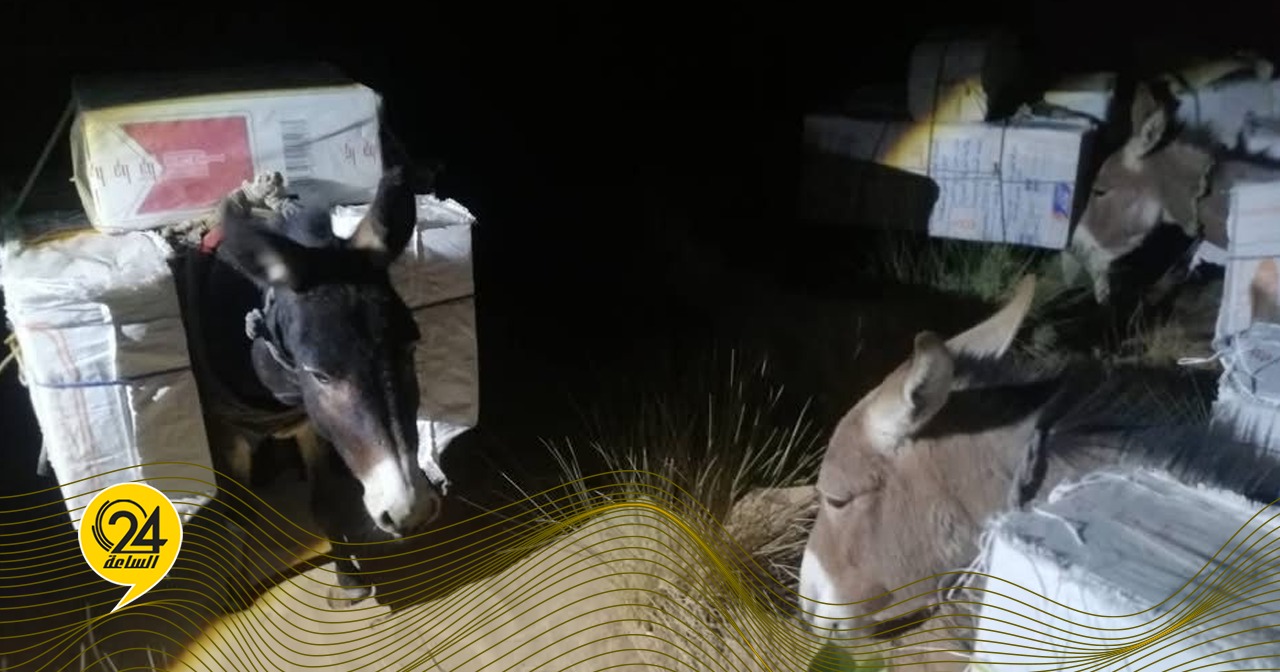 ليبيا – باستخدام “الحمير” لنقلهم.. القبض على مهرب سجائر من ليبيا إلى الجزائر