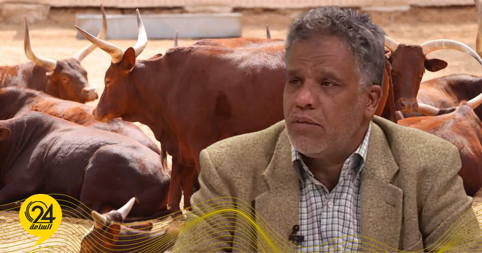 ليبيا – الزبير: الإنجاز في صحة الإنسان وتعليمه وكرامته وليس في فتح حديقة الحيوان