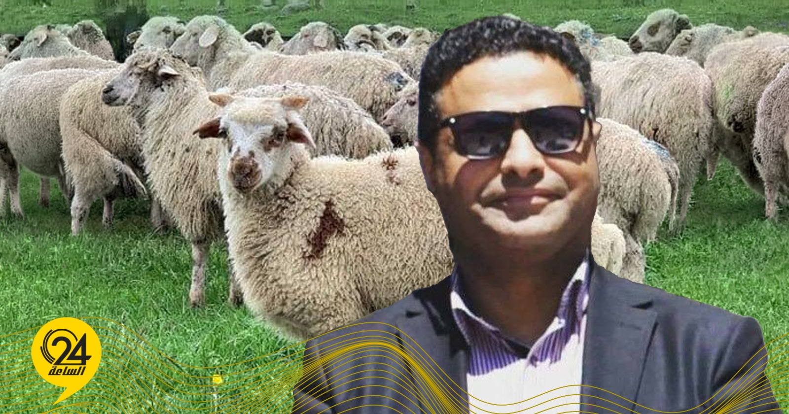 بوزعكوك: يجب إعطاء الأولوية لإسبانيا في استيراد أضاحي العيد. #الساعة24 